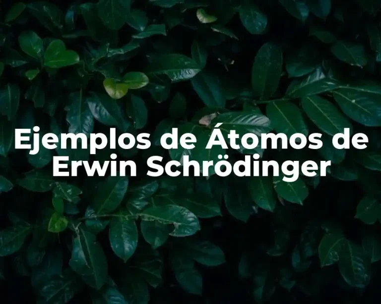 Ejemplos de Átomos de Erwin Schrödinger
