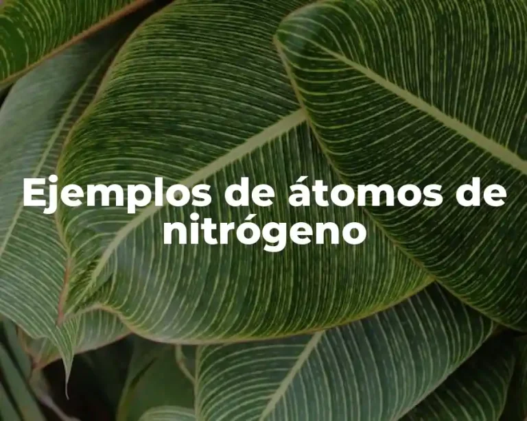 Ejemplos de átomos de nitrógeno