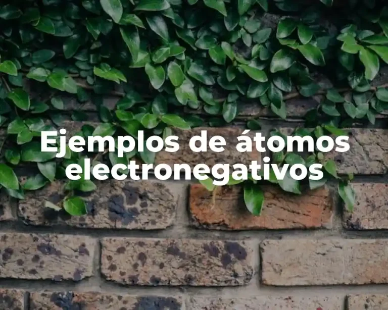 Ejemplos de átomos electronegativos
