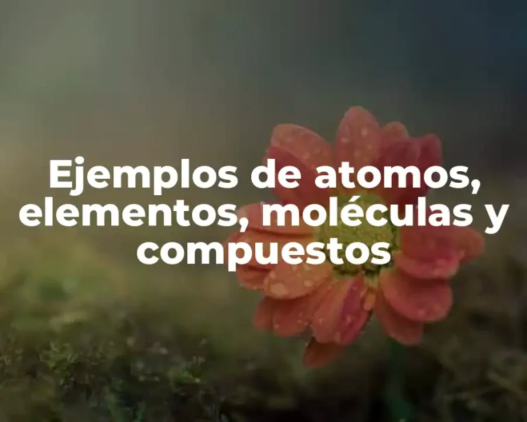 Ejemplos de atomos, elementos, moléculas y compuestos