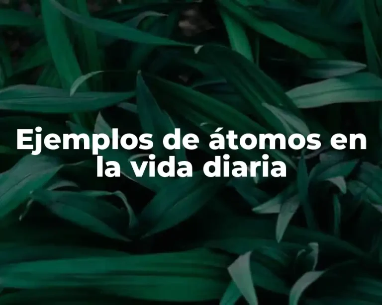 Ejemplos de átomos en la vida diaria