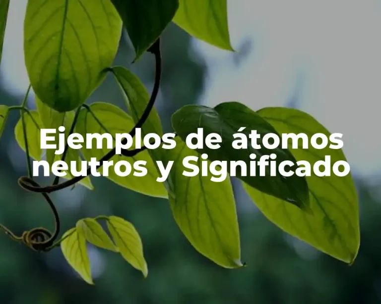 Ejemplos de átomos neutros y Significado