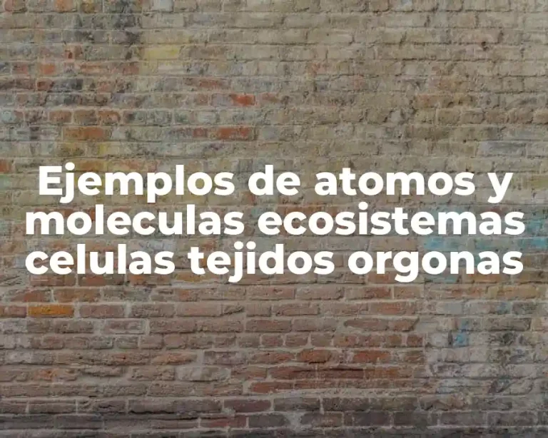 Ejemplos de atomos y moleculas ecosistemas celulas tejidos orgonas