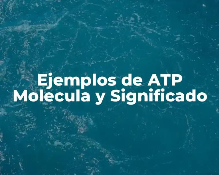 Ejemplos de ATP Molecula y Significado