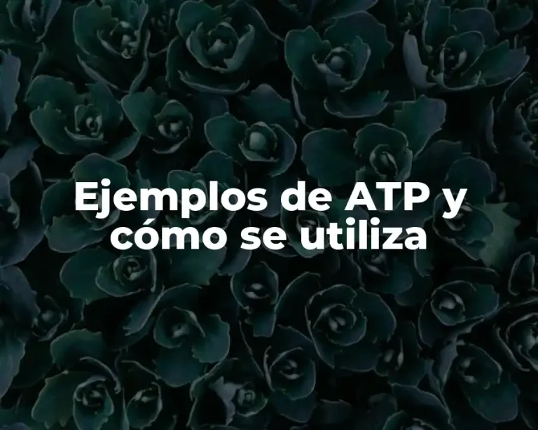 Ejemplos de ATP y cómo se utiliza