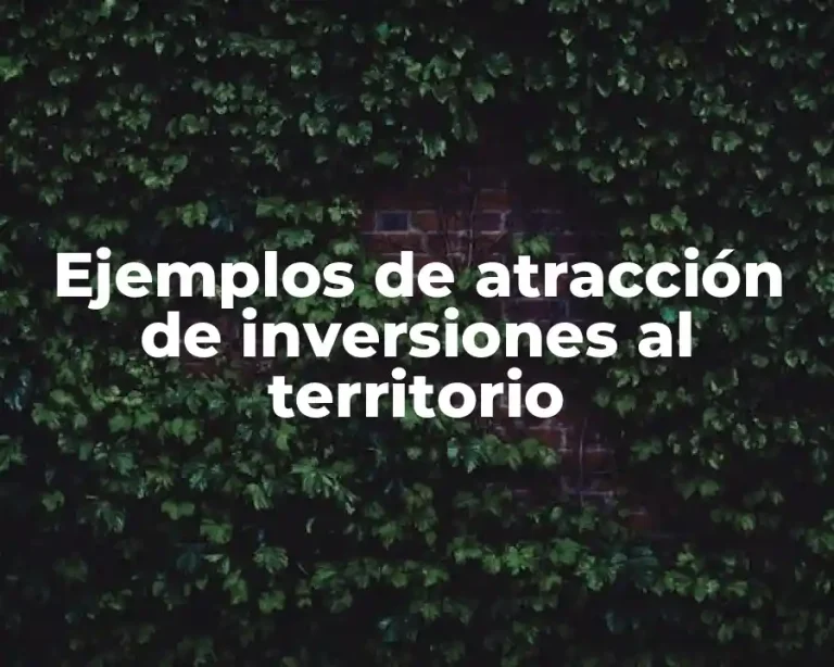Ejemplos de atracción de inversiones al territorio
