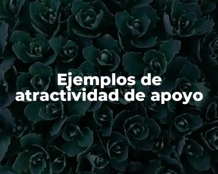 Ejemplos de atractividad de apoyo
