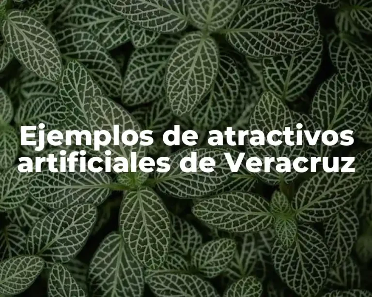 Ejemplos de atractivos artificiales de Veracruz