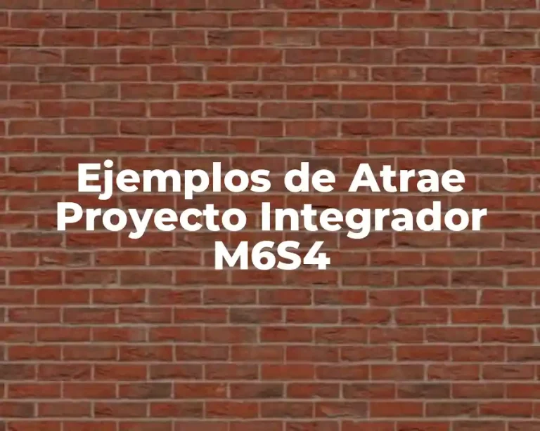 Ejemplos de Atrae Proyecto Integrador M6S4