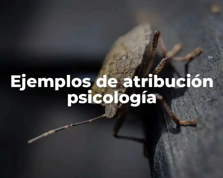 Ejemplos de atribución psicología
