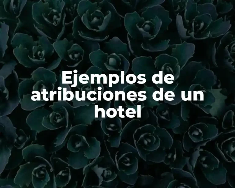 Ejemplos de atribuciones de un hotel