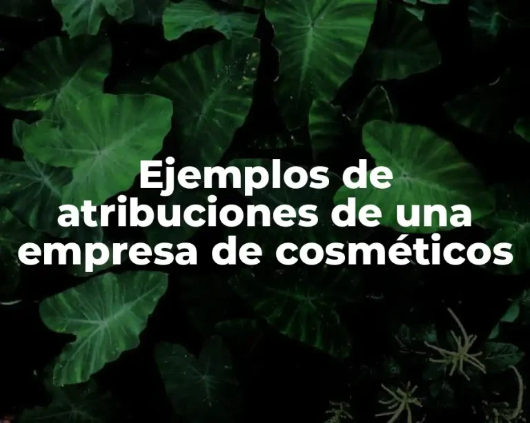 Ejemplos de atribuciones de una empresa de cosméticos