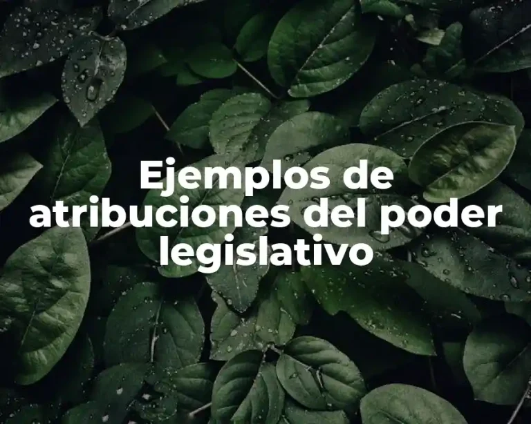 Ejemplos de atribuciones del poder legislativo