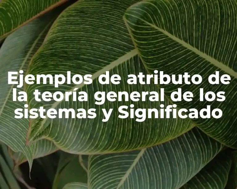 Ejemplos de atributo de la teoría general de los sistemas y Significado