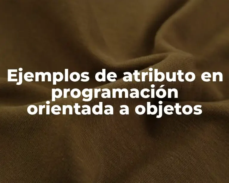 Ejemplos de atributo en programación orientada a objetos