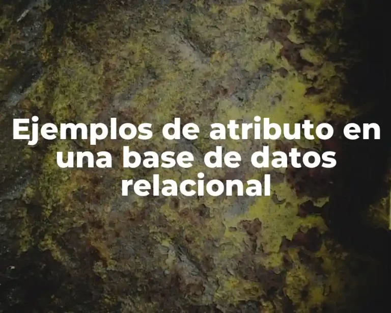 Ejemplos de atributo en una base de datos relacional