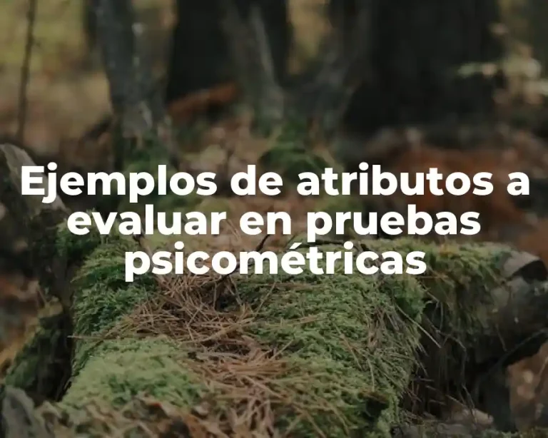 Ejemplos de atributos a evaluar en pruebas psicométricas