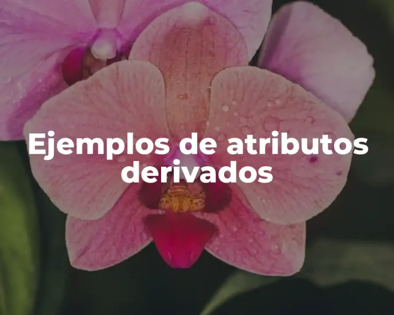 Ejemplos de atributos derivados