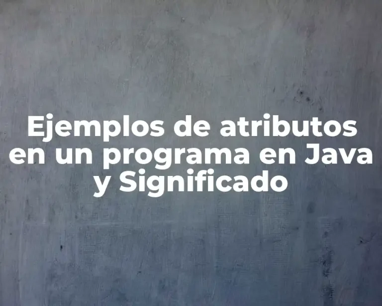 Ejemplos de atributos en un programa en Java y Significado