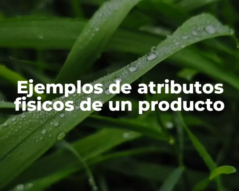 Ejemplos de atributos fisicos de un producto