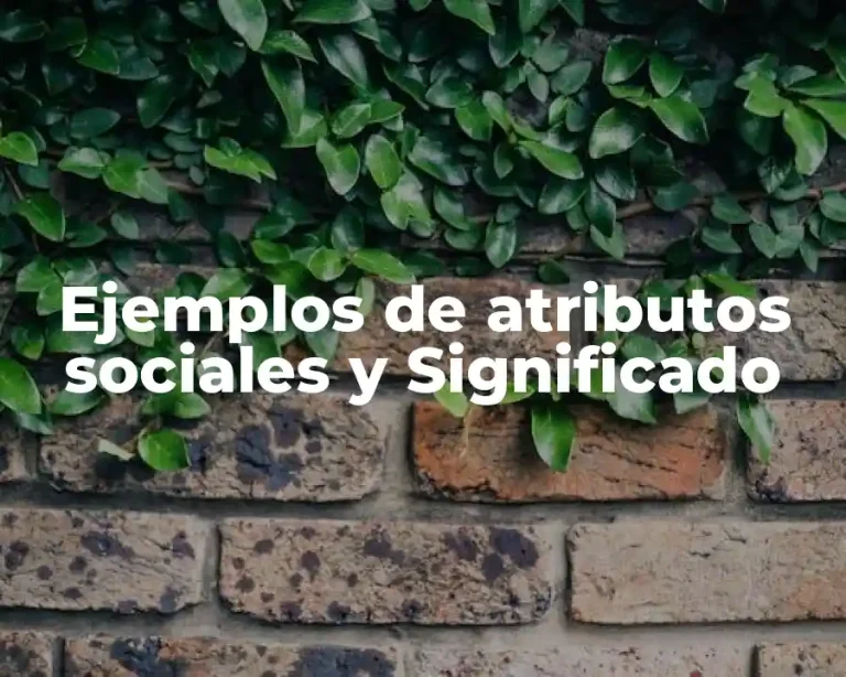 Ejemplos de atributos sociales y Significado