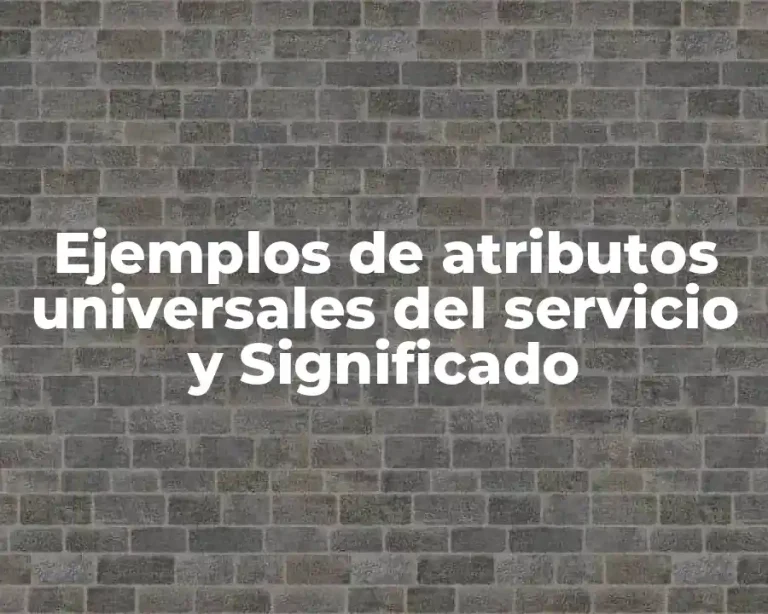 Ejemplos de atributos universales del servicio y Significado