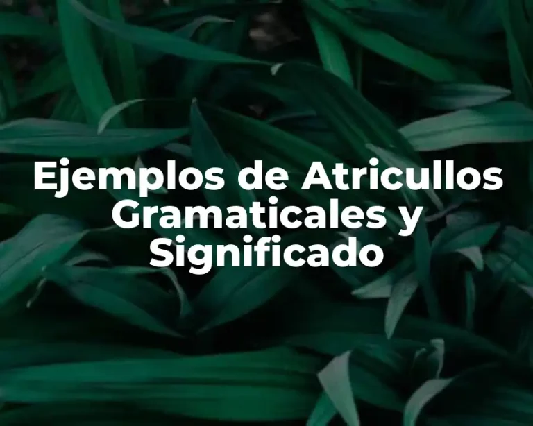 Ejemplos de Atricullos Gramaticales y Significado