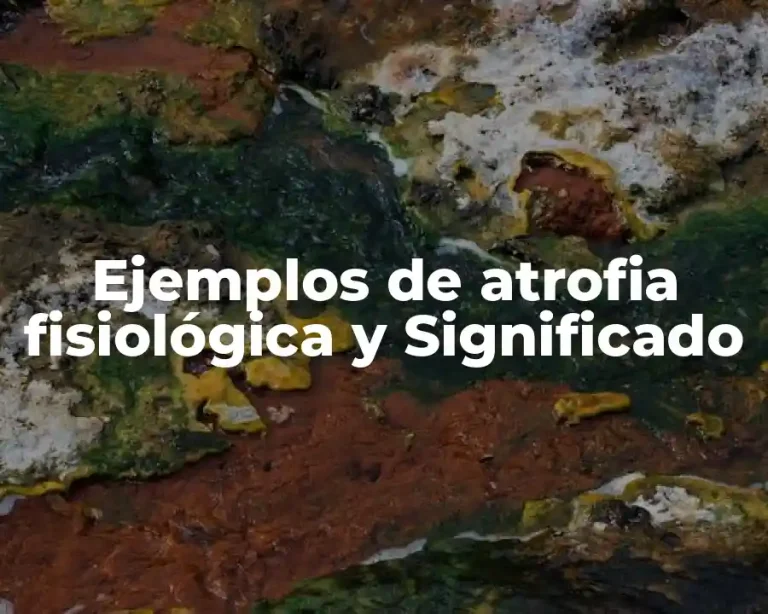 Ejemplos de atrofia fisiológica y Significado