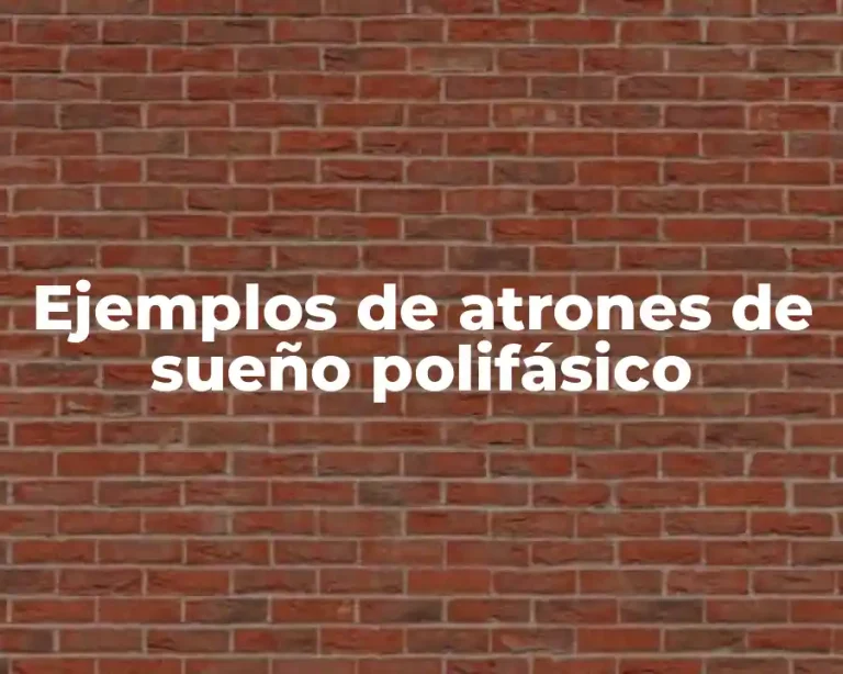 Ejemplos de atrones de sueño polifásico