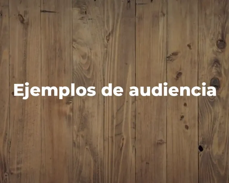 Ejemplos de audiencia