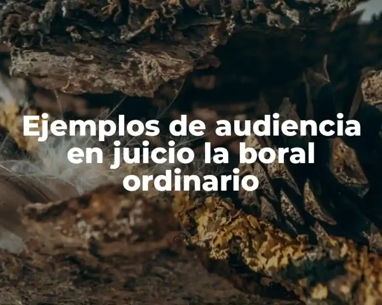 Ejemplos de audiencia en juicio la boral ordinario