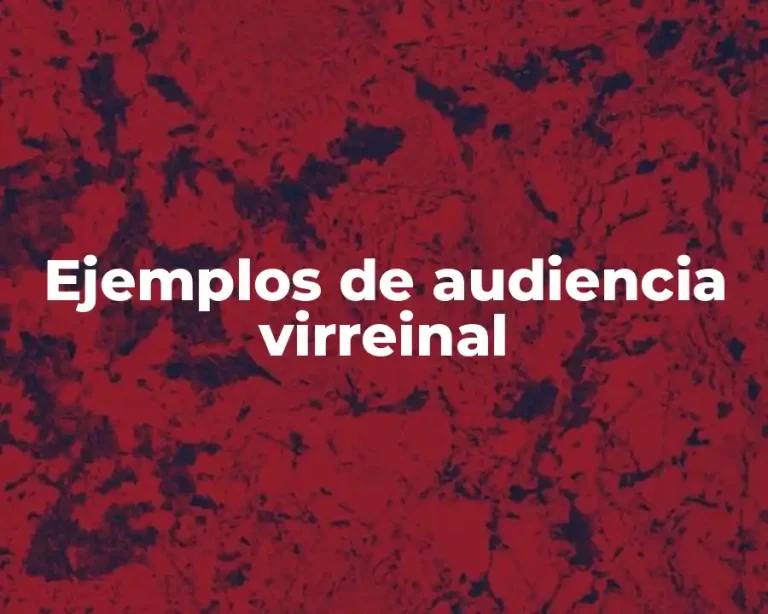 Ejemplos de audiencia virreinal