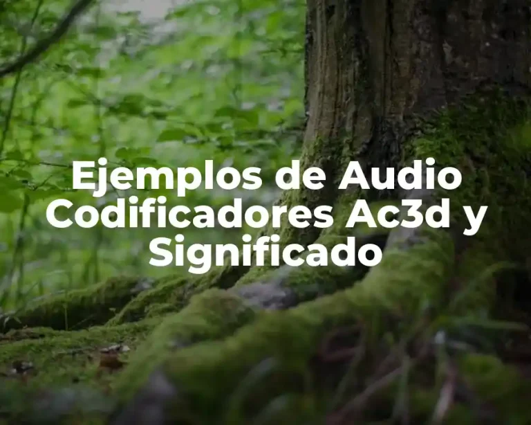 Ejemplos de Audio Codificadores Ac3d y Significado