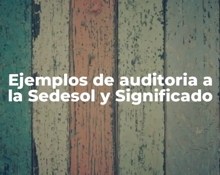 Ejemplos de auditoria a la Sedesol y Significado