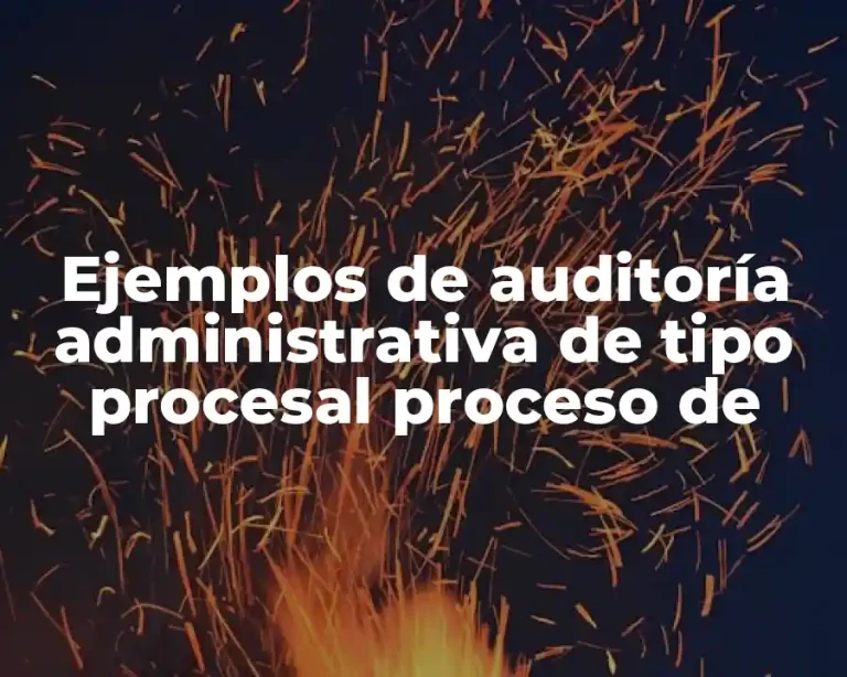 Ejemplos de auditoría administrativa de tipo procesal proceso de