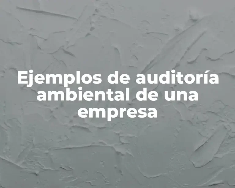 Ejemplos de auditoría ambiental de una empresa