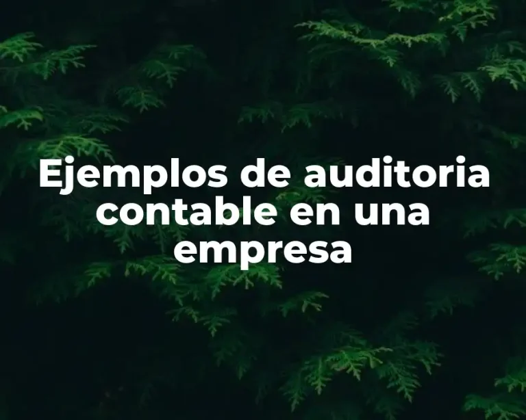 Ejemplos de auditoria contable en una empresa