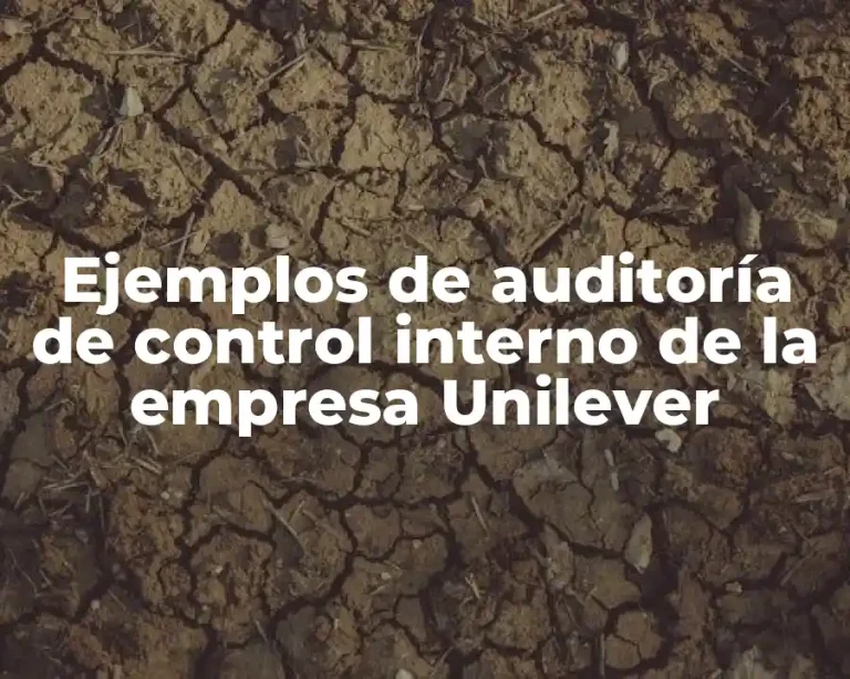 Ejemplos de auditoría de control interno de la empresa Unilever