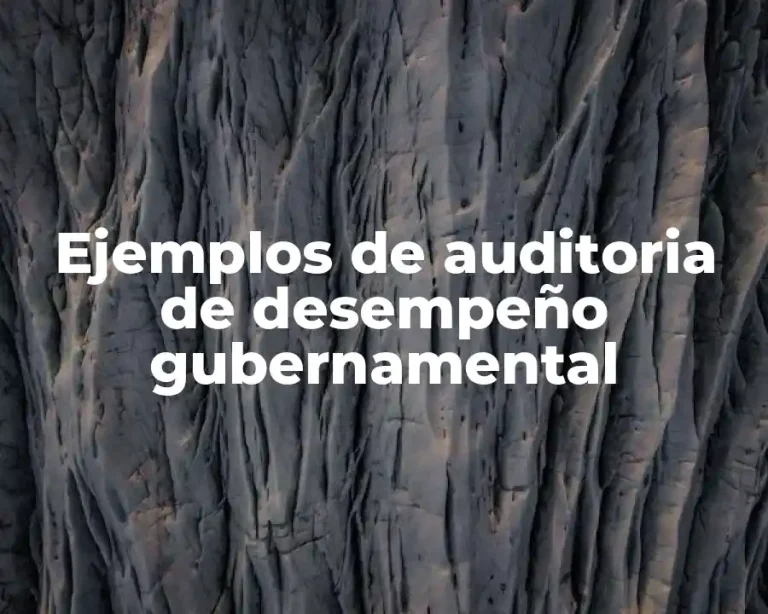 Ejemplos de auditoria de desempeño gubernamental