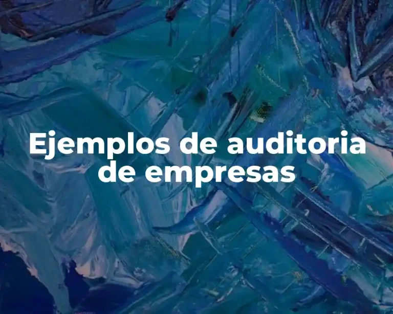 Ejemplos de auditoria de empresas