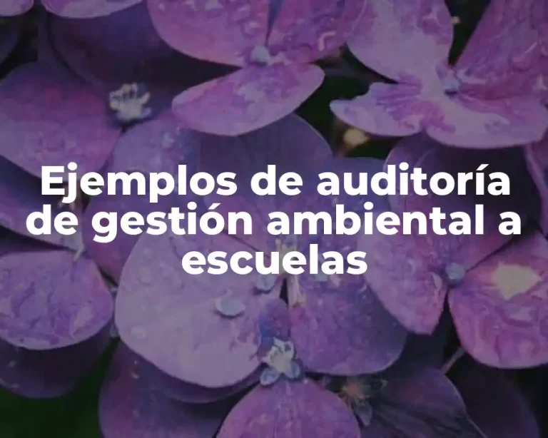 Ejemplos de auditoría de gestión ambiental a escuelas