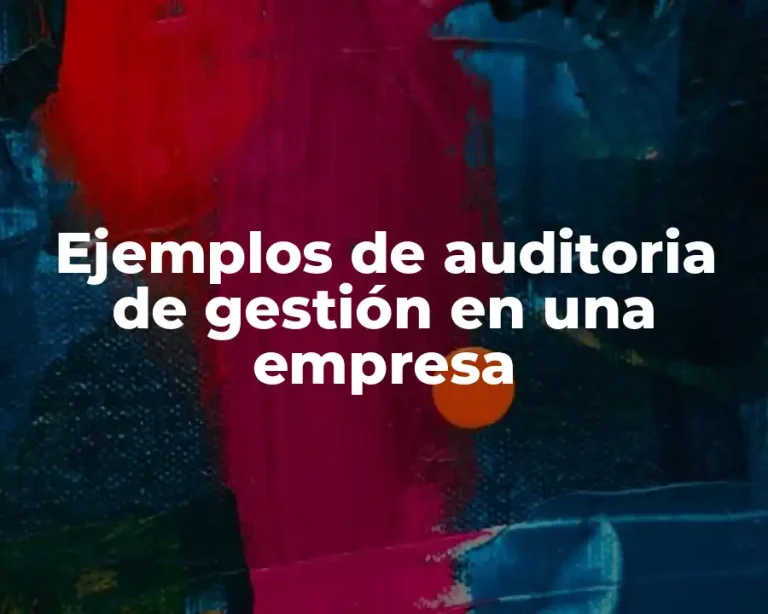Ejemplos de auditoria de gestión en una empresa
