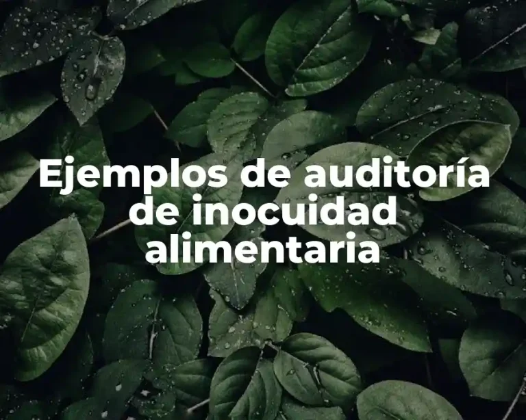 Ejemplos de auditoría de inocuidad alimentaria