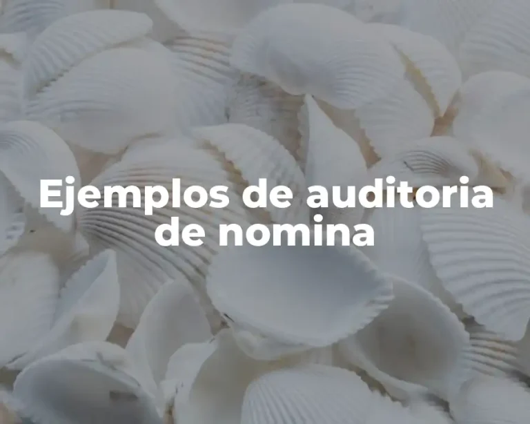 Ejemplos de auditoria de nomina