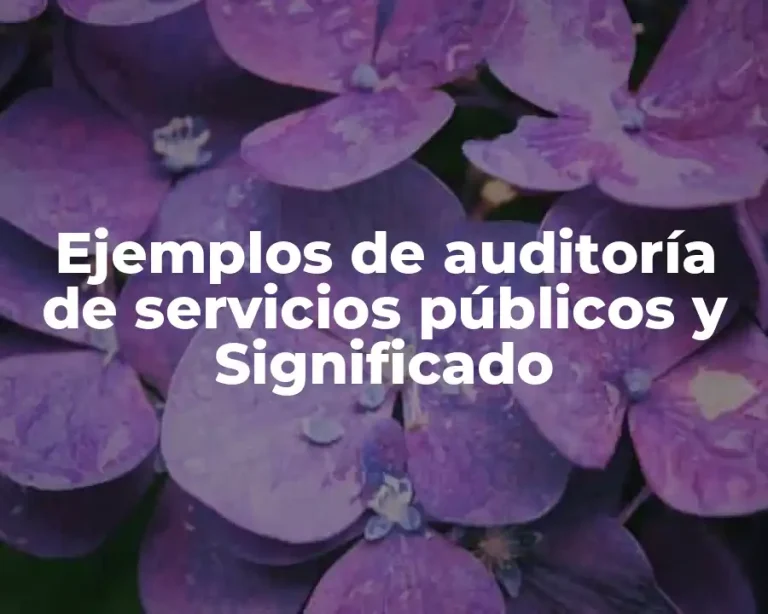 Ejemplos de auditoría de servicios públicos y Significado