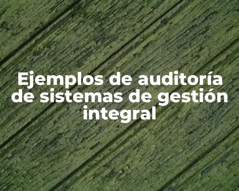 Ejemplos de auditoría de sistemas de gestión integral