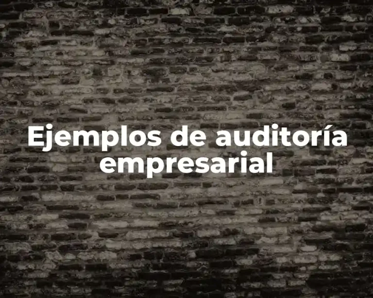 Ejemplos de auditoría empresarial