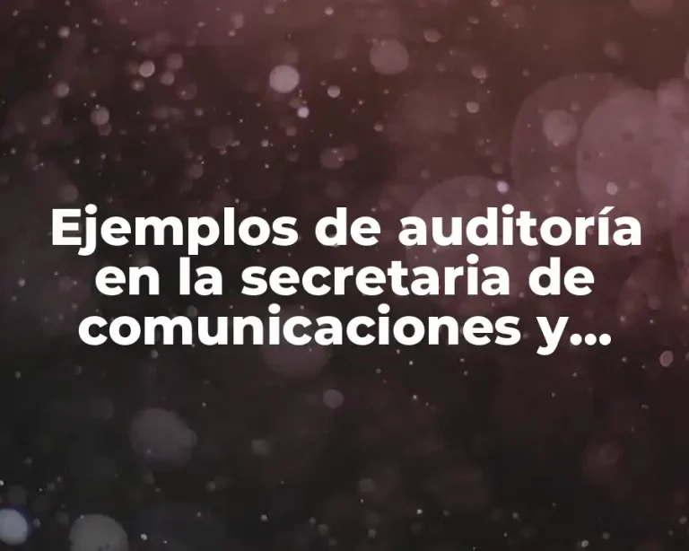 Ejemplos de auditoría en la secretaria de comunicaciones y transportes y Significado