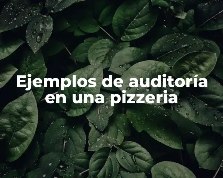 Ejemplos de auditoría en una pizzeria