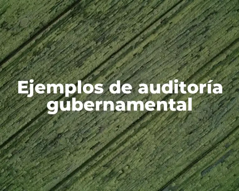 Ejemplos de auditoría gubernamental